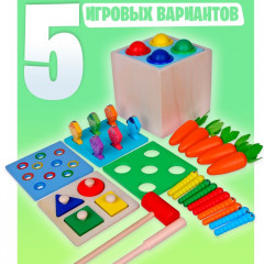 Центр логический 5 в 1 «Играем и развиваемся» - Фото 2