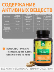 БАД «Лапчатка белая» - Фото 4