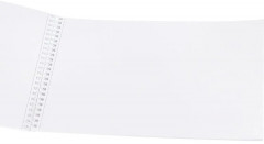 Альбом для рисования «Яркая игуана» - Фото 1