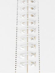 Альбом для рисования «Яркая игуана» - Фото 2