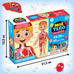 Набор обучающий «Моё тело» - Фото 2