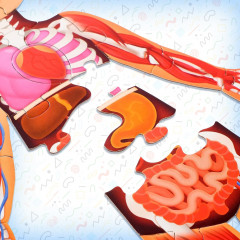 Набор обучающий «Моё тело» - Фото 6