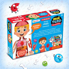 Набор обучающий «Моё тело» - Фото 7