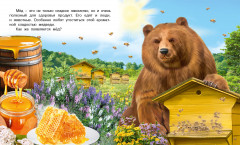 Как появляется мёд - Фото 1