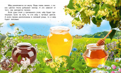 Как появляется мёд - Фото 3