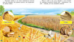 Как появляется хлеб - Фото 2