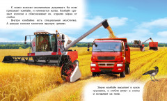 Как появляется хлеб - Фото 3