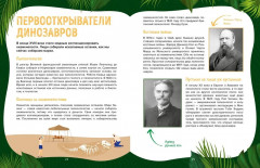 Царство динозавров - Фото 4