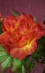 Куст искусственный - Фото 1