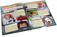 Собаки - Фото 1