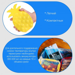 Набор аккумуляторов холода для термосумки «Ананас» - Фото 1