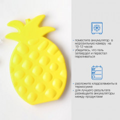 Набор аккумуляторов холода для термосумки «Ананас» - Фото 3
