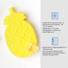 Набор аккумуляторов холода для термосумки «Джекфрут» - Фото 3