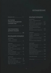 Дикие кошки мира - Фото 1