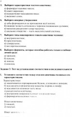 Анатомия и физиология человека. Рабочая тетрадь. Часть 2 - Фото 5