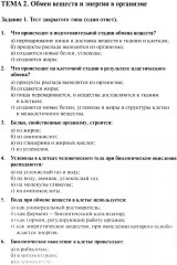 Анатомия и физиология человека. Рабочая тетрадь. Часть 2 - Фото 7