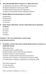 Анатомия и физиология человека. Рабочая тетрадь. Часть 2 - Фото 8