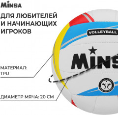 Мяч волейбольный - Фото 1