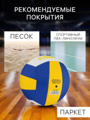 Мяч волейбольный - Фото 3