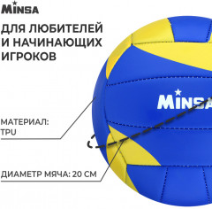 Мяч волейбольный - Фото 1