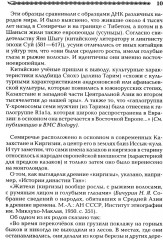 Китай и Древняя Русь. Союз Медведя и Дракона - Фото 9