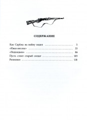 Как Серёжа на войну ходил - Фото 1