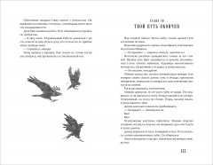 Кровавый дождь. Ключ к разрушению - Фото 2