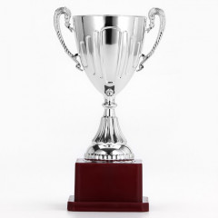 Кубок - Фото 2