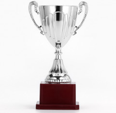 Кубок - Фото 4