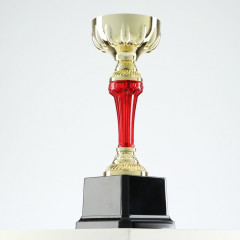 Кубок - Фото 2