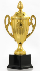 Кубок - Фото 1