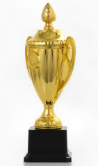 Кубок - Фото 2