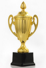 Кубок - Фото 3