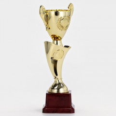 Кубок - Фото 2