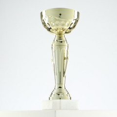 Кубок - Фото 2