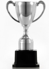 Кубок - Фото 2