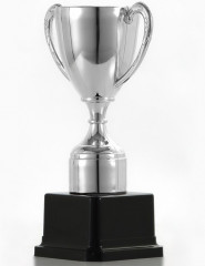 Кубок - Фото 3