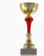 Кубок - Фото 2