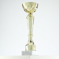 Кубок - Фото 3