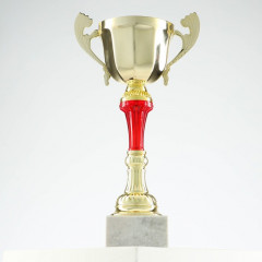 Кубок - Фото 2