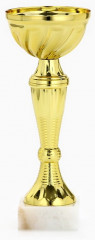 Кубок - Фото 2