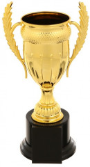 Кубок - Фото 2