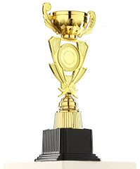 Кубок - Фото 2