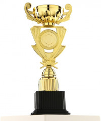 Кубок - Фото 3