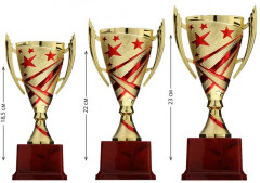 Кубок - Фото 2