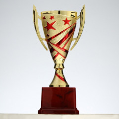 Кубок - Фото 3