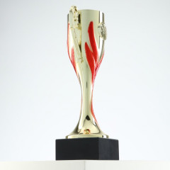 Кубок - Фото 3