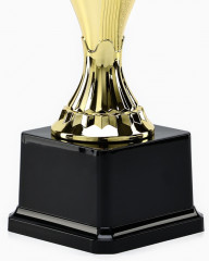 Кубок - Фото 4