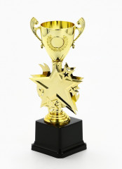 Кубок - Фото 1