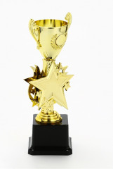 Кубок - Фото 2